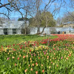Botanical Garden (Botaniska trädgården) - Lund