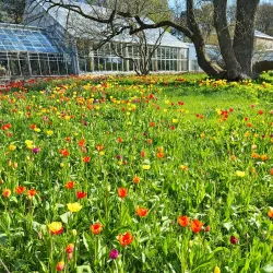 Botanical Garden (Botaniska trädgården) - Lund