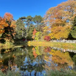 Botanical Garden (Botaniska trädgården) - Lund