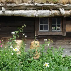 Kulturen Open-Air Museum - Lund