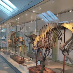 Lund University Historical Museum - Lund