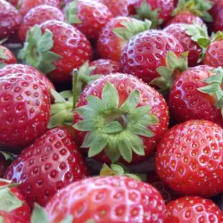 Mårtenstorget - Lund