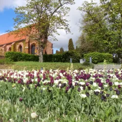 St. Peter's Priory - Lund
