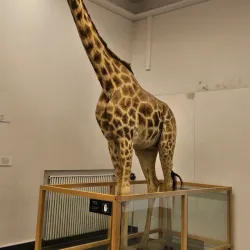 Malmö Castle (Malmöhus Slott) - Malmo