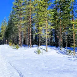 Orsa Grönklitt - Mora