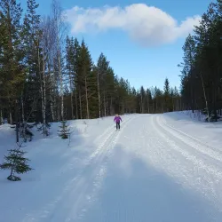 Orsa Grönklitt - Mora