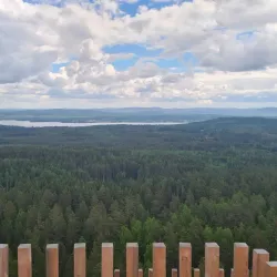 Siljansnäs Nature Reserve - Mora