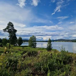 Siljansnäs Nature Reserve - Mora