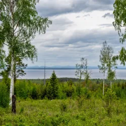 Siljansnäs Nature Reserve - Mora