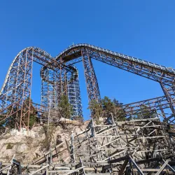 Kolmården Wildlife Park - Norrkoping