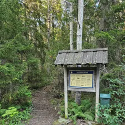 Bergshamra Nature Reserve - Norrtälje