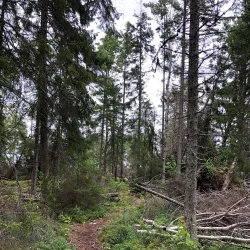 Bergshamra Nature Reserve - Norrtälje