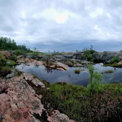 Bergshamra Nature Reserve - Norrtälje
