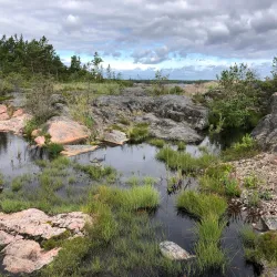 Bergshamra Nature Reserve - Norrtälje