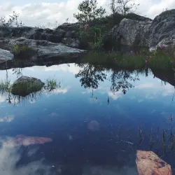 Bergshamra Nature Reserve - Norrtälje