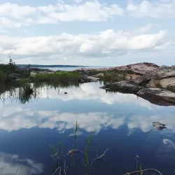 Bergshamra Nature Reserve - Norrtälje