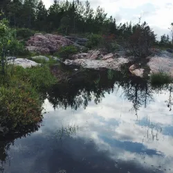Bergshamra Nature Reserve - Norrtälje