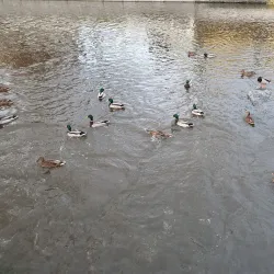 Roslagsleden Trail - Norrtälje