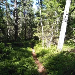 Roslagsleden Trail - Norrtälje