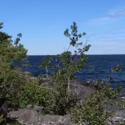 Roslagsleden Trail - Norrtälje