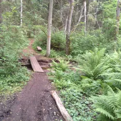 Roslagsleden Trail - Norrtälje