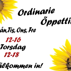 Local Handicraft Shops - Norsjo (Norsjö)