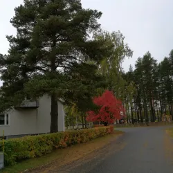 Norsjö Ski Trails - Norsjo (Norsjö)