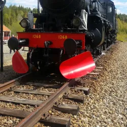 Skogssjön Lake - Norsjo (Norsjö)