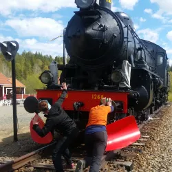 Skogssjön Lake - Norsjo (Norsjö)