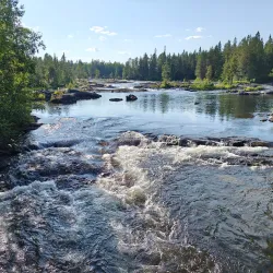 Västerbotten Nature Reserve - Norsjo (Norsjö)