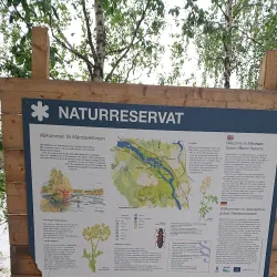 Västerbotten Nature Reserve - Norsjo (Norsjö)