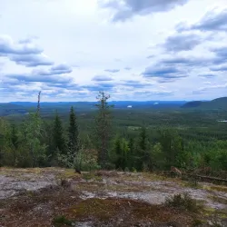 Västerbotten Nature Reserve - Norsjo (Norsjö)