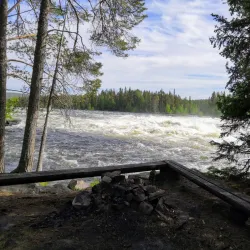 Västerbotten Nature Reserve - Norsjo (Norsjö)