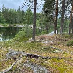 Västerbotten Nature Reserve - Norsjo (Norsjö)