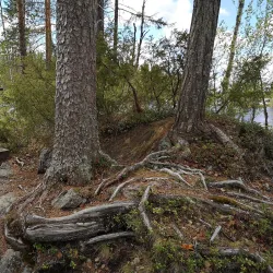 Västerbotten Nature Reserve - Norsjo (Norsjö)