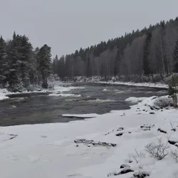 Västerbotten Nature Reserve - Norsjo (Norsjö)