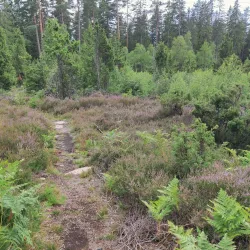 Hultet Nature Reserve - Nässjö