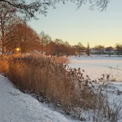 Nässjö Library - Nässjö