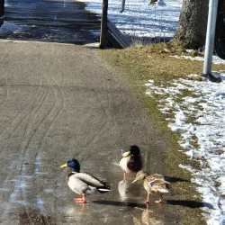 Stadsparken (City Park) - Nässjö