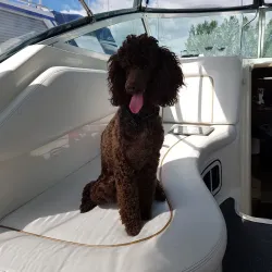 Nyköping Marina - Nyköping