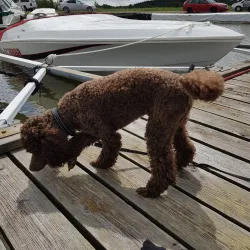Nyköping Marina - Nyköping