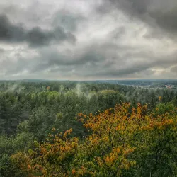 Nyköping Nature Reserve - Nyköping