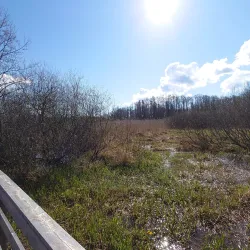 Nyköping Nature Reserve - Nyköping