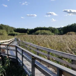 Nyköping Nature Reserve - Nyköping