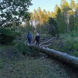Nyköping Nature Reserve - Nyköping