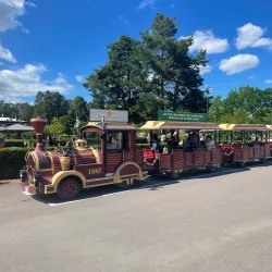 Mariebergsskogen - Orebro