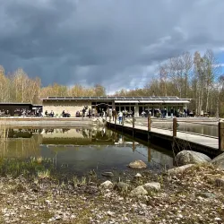 Oset and Rynningeviken Nature Reserve - Orebro