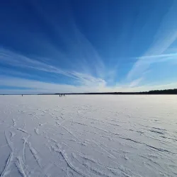 Oset and Rynningeviken Nature Reserve - Orebro