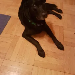 Örkelljunga Cultural Center - Orkelljunga