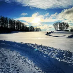 Örkelljunga Golf Club - Orkelljunga